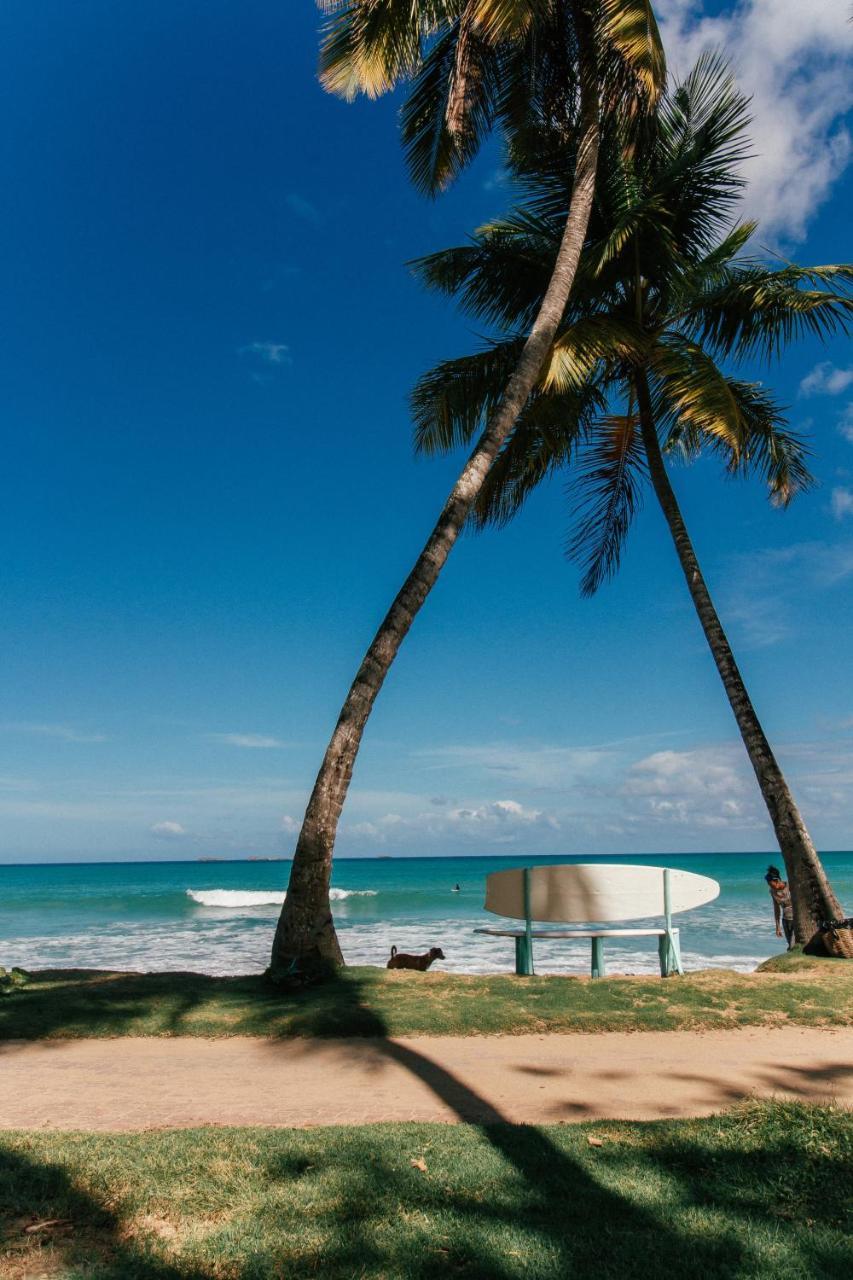El Mosquito Boutique Hotel Playa Bonita Las Terrenas Exteriér fotografie
